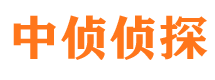 和平市侦探调查公司